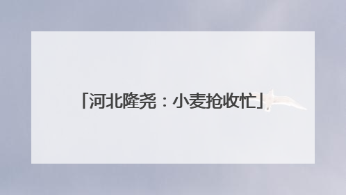 河北隆尧：小麦抢收忙