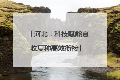 河北：科技赋能夏收夏种高效衔接