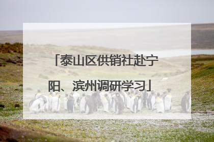泰山区供销社赴宁阳、滨州调研学习