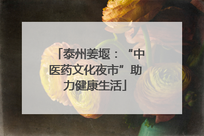 泰州姜堰：“中医药文化夜市”助力健康生活
