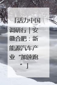 活力中国调研行｜安徽合肥：新能源汽车产业“加速跑”