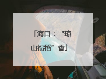 海口：“琼山福稻”香