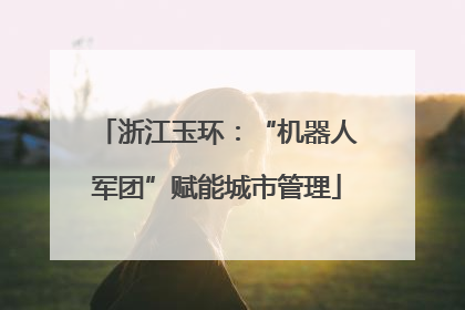 浙江玉环：“机器人军团”赋能城市管理