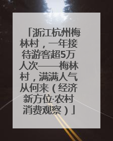 浙江杭州梅林村，一年接待游客超5万人次——梅林村，满满人气从何来（经济新方位·农村消费观察）