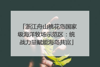 浙江舟山桃花岛国家级海洋牧场示范区：统战力量赋能海岛共富