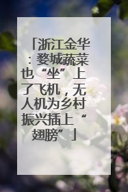 浙江金华：婺城蔬菜也“坐”上了飞机，无人机为乡村振兴插上“翅膀”