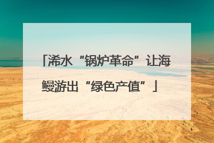 浠水“锅炉革命”让海鳗游出“绿色产值”