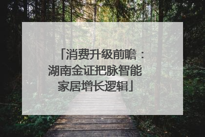 消费升级前瞻：湖南金证把脉智能家居增长逻辑