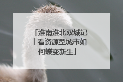 淮南淮北双城记丨看资源型城市如何蝶变新生