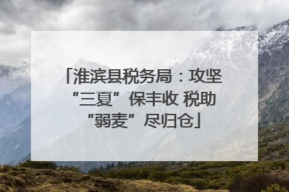 淮滨县税务局：攻坚“三夏”保丰收 税助“弱麦”尽归仓