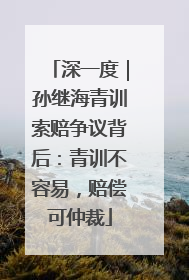 深一度｜孙继海青训索赔争议背后：青训不容易，赔偿可仲裁