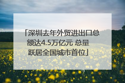 深圳去年外贸进出口总额达4.5万亿元 总量跃居全国城市首位
