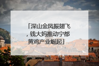 深山金凤振翅飞，钱大妈推动宁都黄鸡产业崛起