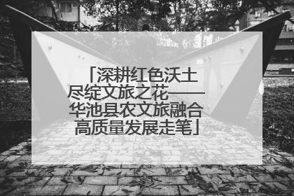 深耕红色沃土 尽绽文旅之花——华池县农文旅融合高质量发展走笔