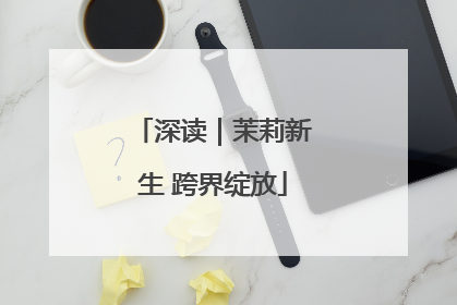 深读｜茉莉新生 跨界绽放