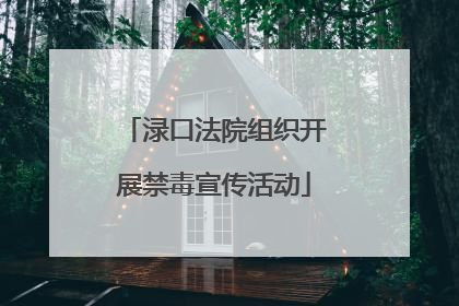 渌口法院组织开展禁毒宣传活动