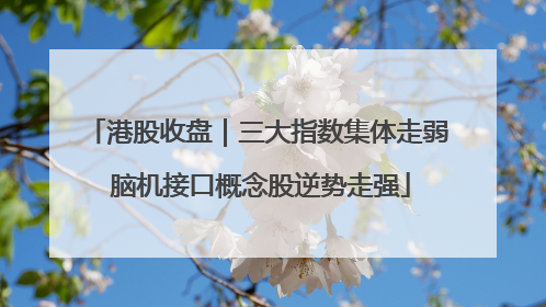 港股收盘｜三大指数集体走弱 脑机接口概念股逆势走强