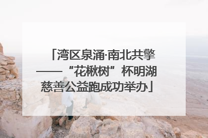湾区泉涌·南北共擎——“花楸树”杯明湖慈善公益跑成功举办