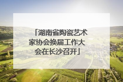 湖南省陶瓷艺术家协会换届工作大会在长沙召开