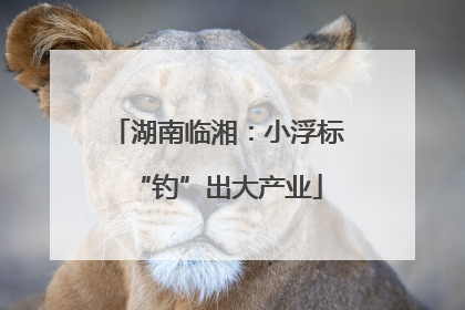 湖南临湘：小浮标“钓”出大产业