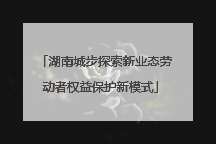 湖南城步探索新业态劳动者权益保护新模式