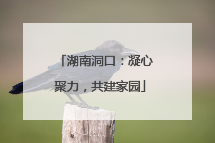 湖南洞口：凝心聚力，共建家园