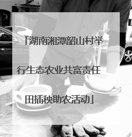湖南湘潭韶山村举行生态农业共富责任田插秧助农活动