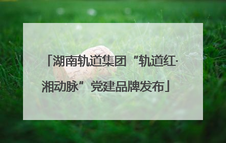 湖南轨道集团“轨道红·湘动脉”党建品牌发布