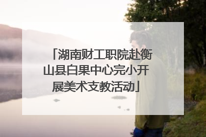 湖南财工职院赴衡山县白果中心完小开展美术支教活动
