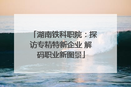 湖南铁科职院：探访专精特新企业 解码职业新图景