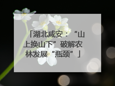 湖北咸安：“山上换山下”破解农林发展“瓶颈”
