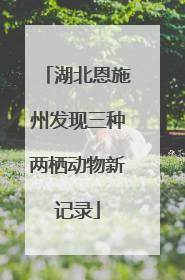 湖北恩施州发现三种两栖动物新记录