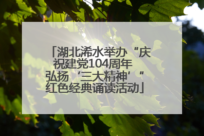 湖北浠水举办“庆祝建党104周年 弘扬‘三大精神’”红色经典诵读活动