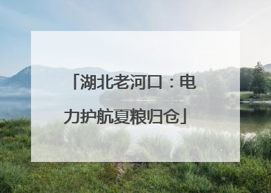 湖北老河口：电力护航夏粮归仓