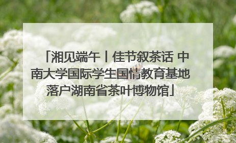 湘见端午丨佳节叙茶话 中南大学国际学生国情教育基地落户湖南省茶叶博物馆