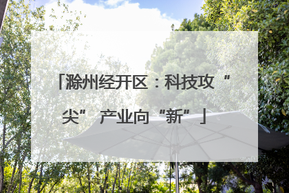 滁州经开区：科技攻“尖” 产业向“新”