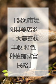 漯河市舞阳县姜店乡：大蒜喜获丰收 特色种植铺就富民路