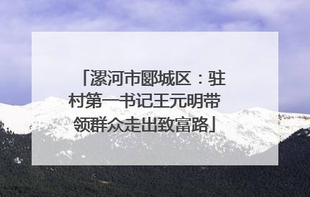 漯河市郾城区：驻村第一书记王元明带领群众走出致富路