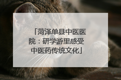 菏泽单县中医医院：研学游里感受中医药传统文化