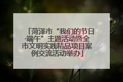 菏泽市“我们的节日·端午”主题活动暨全市文明实践精品项目案例交流活动举办