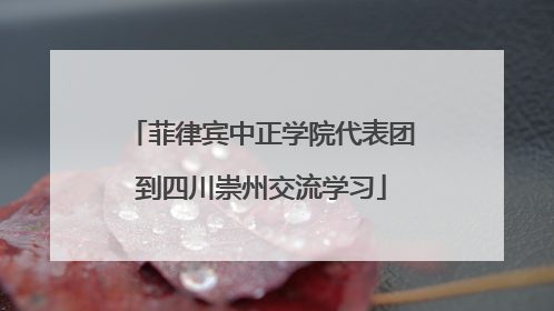 菲律宾中正学院代表团到四川崇州交流学习