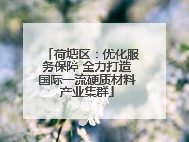 荷塘区：优化服务保障 全力打造国际一流硬质材料产业集群