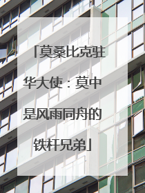 莫桑比克驻华大使：莫中是风雨同舟的铁杆兄弟
