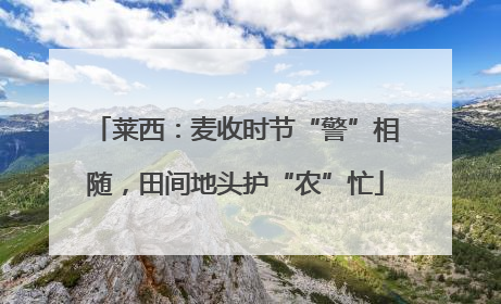 莱西：麦收时节“警”相随，田间地头护“农”忙