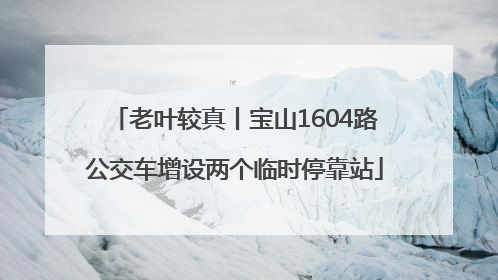 老叶较真丨宝山1604路公交车增设两个临时停靠站