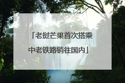 老挝芒果首次搭乘中老铁路销往国内