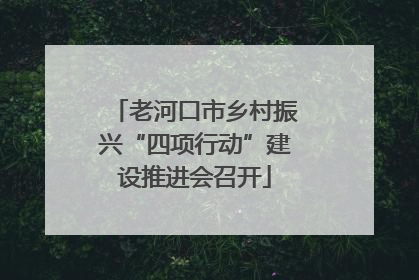 老河口市乡村振兴“四项行动”建设推进会召开