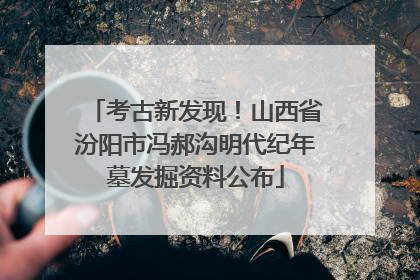 考古新发现！山西省汾阳市冯郝沟明代纪年墓发掘资料公布