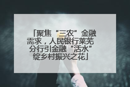 聚焦“三农”金融需求，人民银行莱芜分行引金融“活水”绽乡村振兴之花