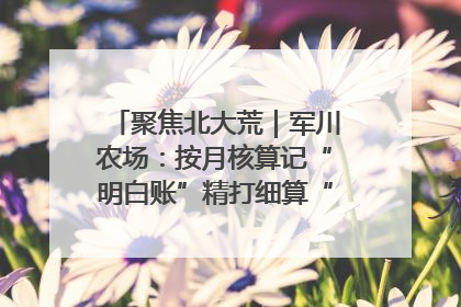 聚焦北大荒｜军川农场：按月核算记“明白账”精打细算“过紧日子”
